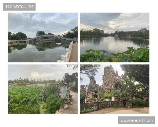 跳水运动的力量与美感探秘从惊险一跃到水花消失的极致艺术 跳水运动的力量与美感探秘从惊险一跃到水花消失的极致艺术