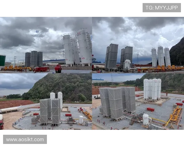 LNG在大师赛中的灵活应变能力分析与表现评估