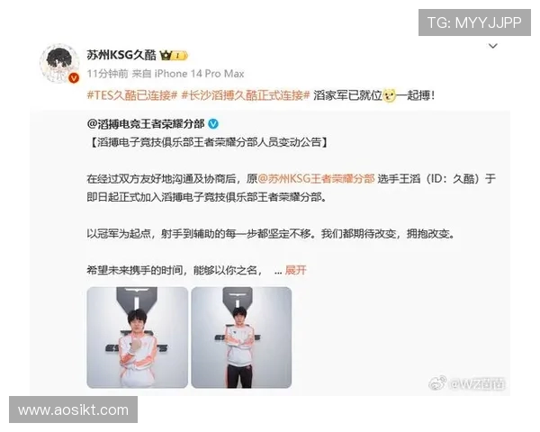 TES战队的控制体系解析与王者荣耀战术深度剖析