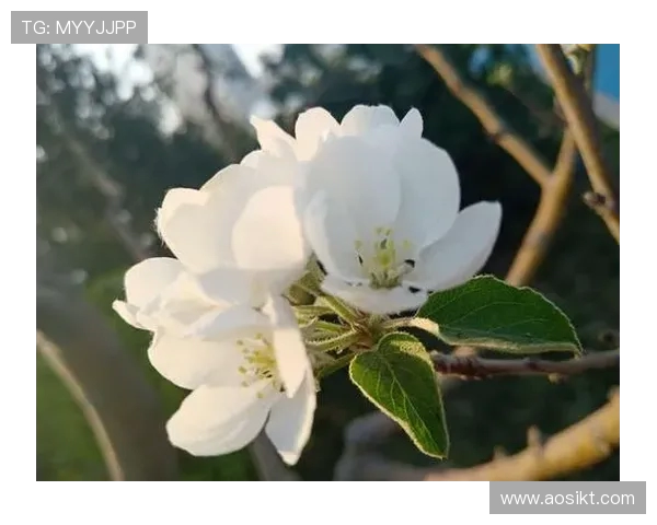 滑板人生的深度对话：吴娜如何在挑战中找到自我与激情